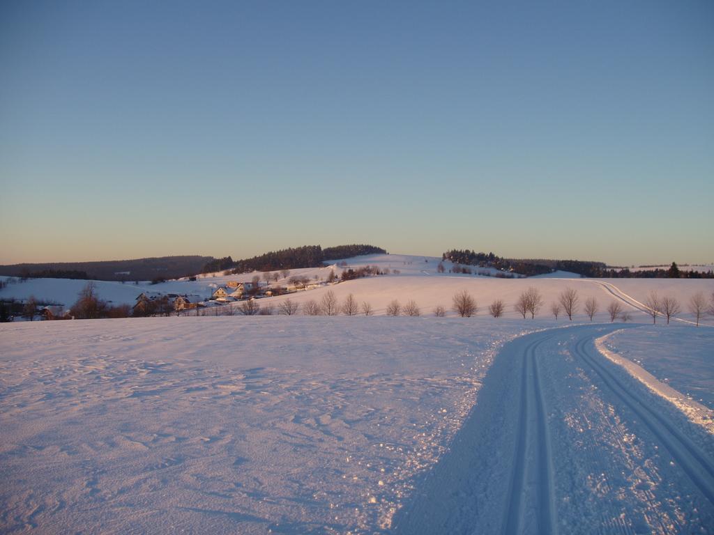 Ubytování U Kapličky Nove Mesto na Morave Esterno foto