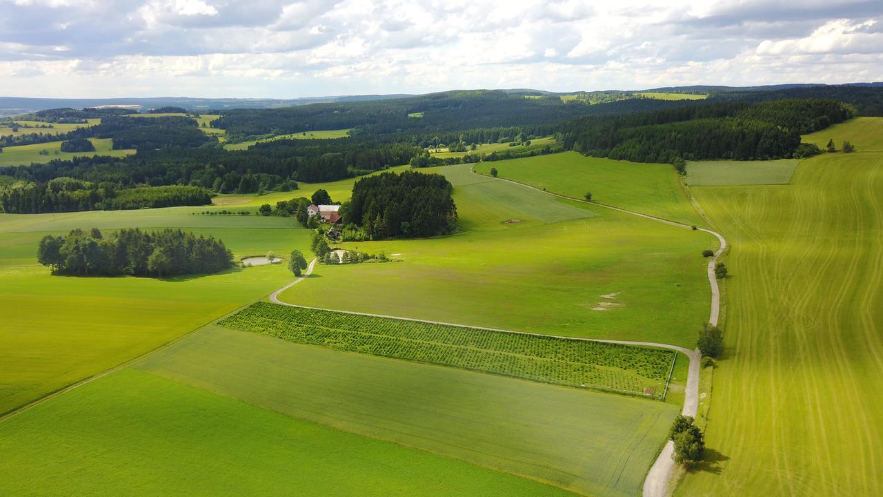 Ubytování U Kapličky Nove Mesto na Morave Esterno foto